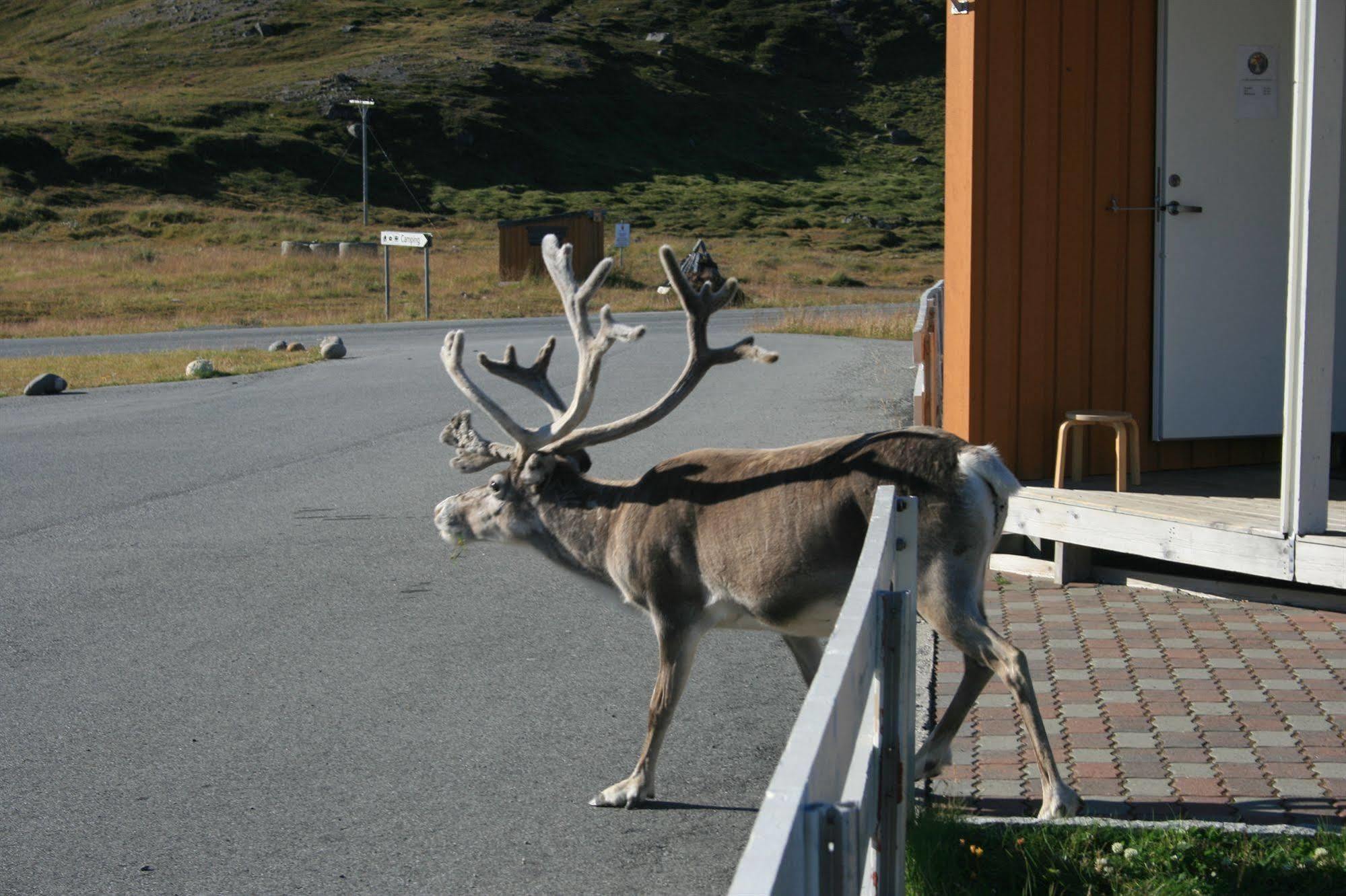 Nordkapp Camping Honningsvåg Екстериор снимка